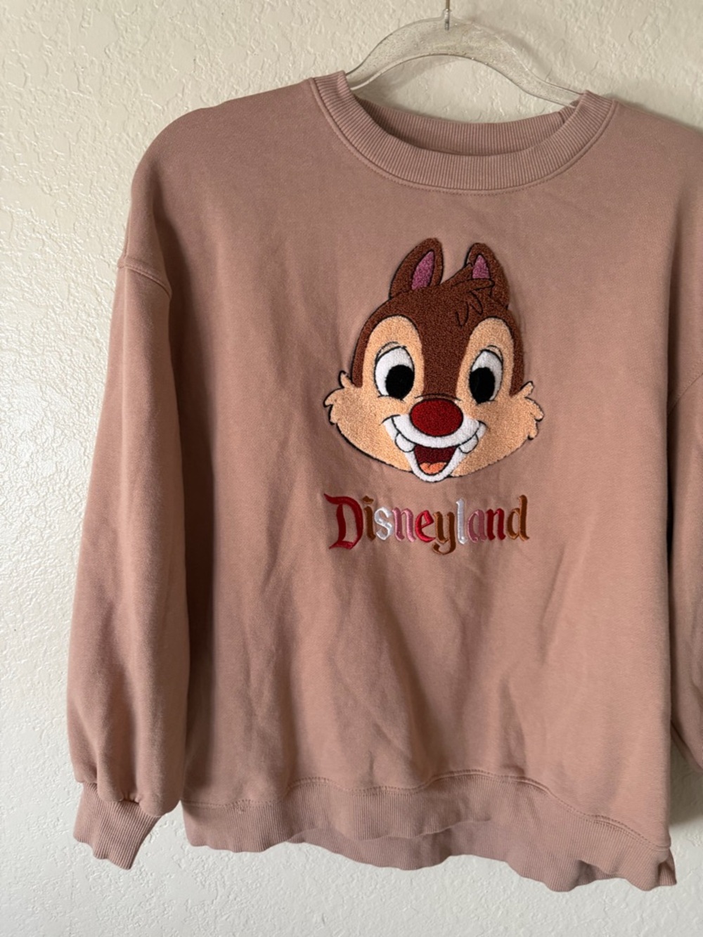 Disneyland Chip ‘n Dale Embroidered Oversized Sweatshirt size XS - Picture 10 of 12
